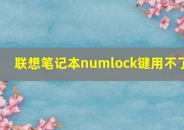 联想笔记本numlock键用不了