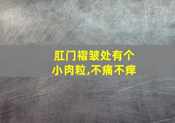 肛门褶皱处有个小肉粒,不痛不痒