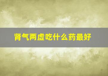 肾气两虚吃什么药最好