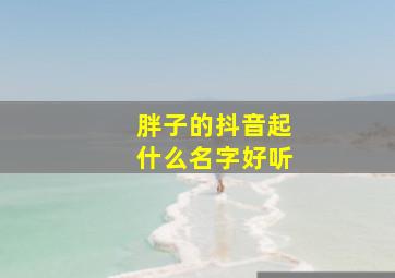 胖子的抖音起什么名字好听