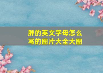 胖的英文字母怎么写的图片大全大图