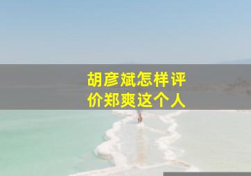 胡彦斌怎样评价郑爽这个人