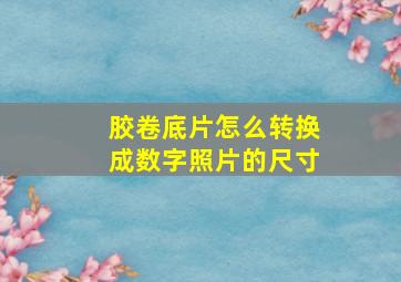 胶卷底片怎么转换成数字照片的尺寸