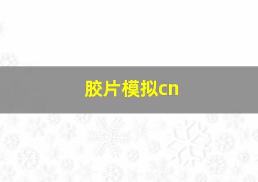 胶片模拟cn