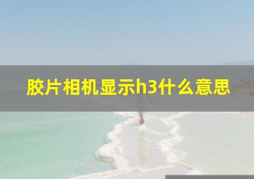 胶片相机显示h3什么意思