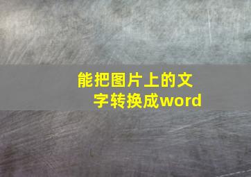 能把图片上的文字转换成word