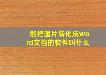 能把图片转化成word文档的软件叫什么