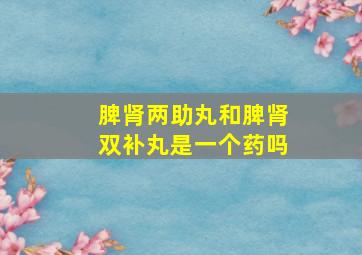 脾肾两助丸和脾肾双补丸是一个药吗