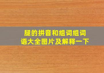 腿的拼音和组词组词语大全图片及解释一下