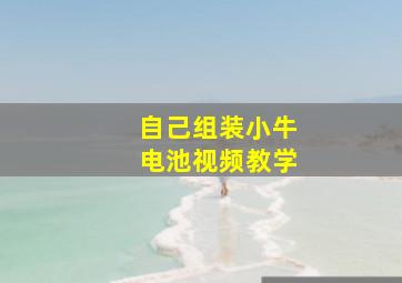 自己组装小牛电池视频教学