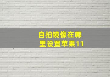 自拍镜像在哪里设置苹果11