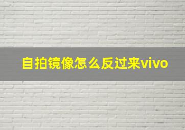 自拍镜像怎么反过来vivo