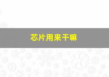 芯片用来干嘛