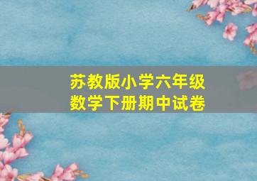 苏教版小学六年级数学下册期中试卷