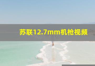 苏联12.7mm机枪视频