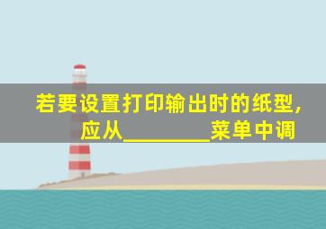 若要设置打印输出时的纸型,应从________菜单中调