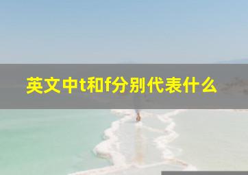 英文中t和f分别代表什么