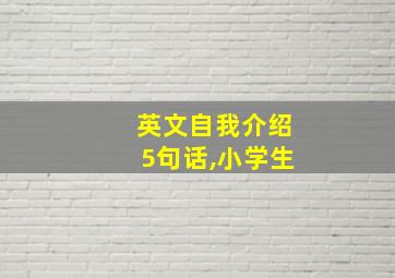 英文自我介绍5句话,小学生