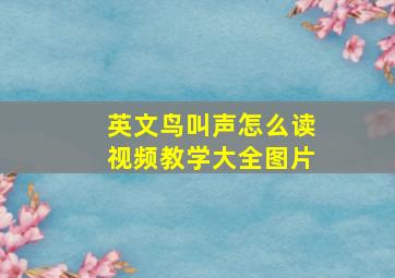 英文鸟叫声怎么读视频教学大全图片