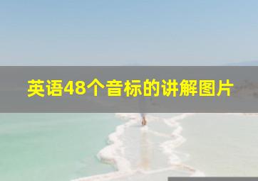 英语48个音标的讲解图片