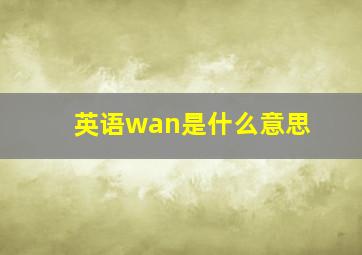 英语wan是什么意思