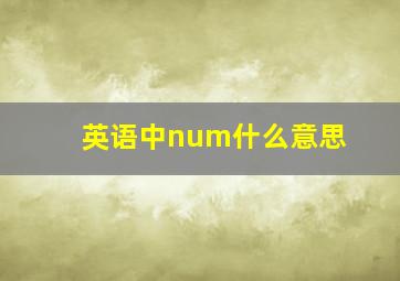 英语中num什么意思