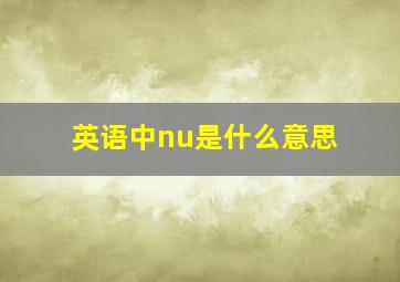 英语中nu是什么意思