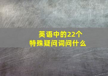 英语中的22个特殊疑问词问什么