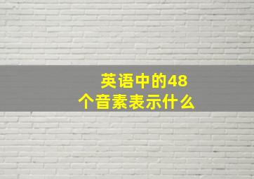 英语中的48个音素表示什么