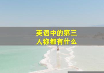 英语中的第三人称都有什么