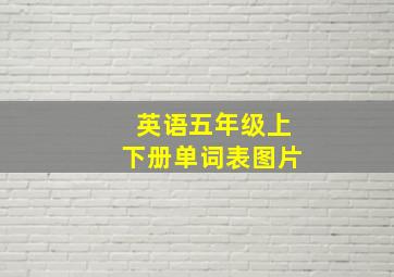 英语五年级上下册单词表图片