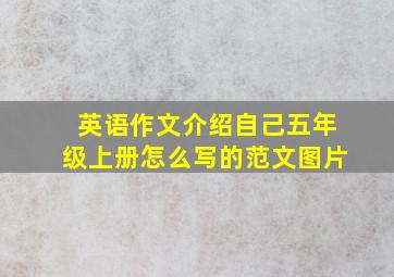 英语作文介绍自己五年级上册怎么写的范文图片