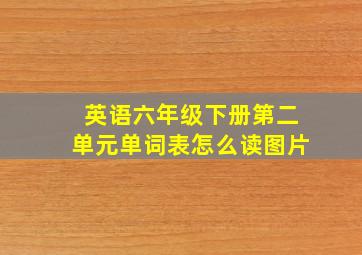 英语六年级下册第二单元单词表怎么读图片