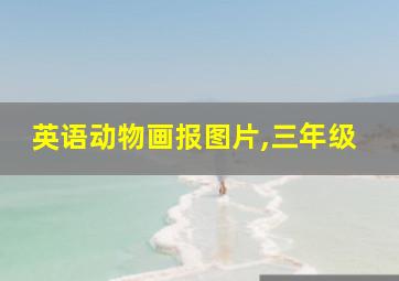 英语动物画报图片,三年级