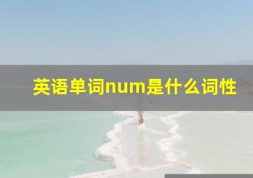 英语单词num是什么词性