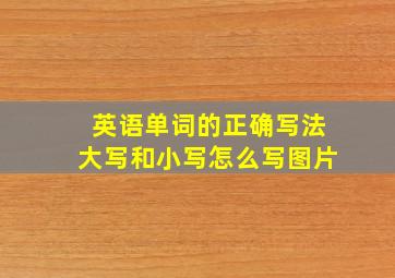 英语单词的正确写法大写和小写怎么写图片