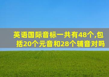 英语国际音标一共有48个,包括20个元音和28个辅音对吗