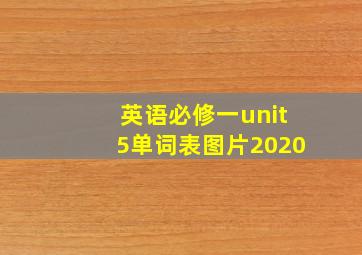 英语必修一unit5单词表图片2020