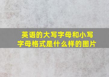 英语的大写字母和小写字母格式是什么样的图片