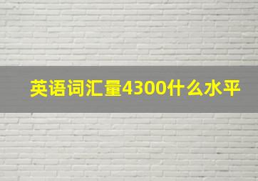 英语词汇量4300什么水平