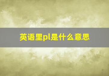 英语里pl是什么意思