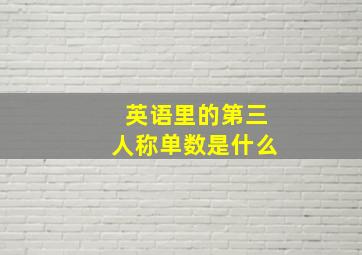 英语里的第三人称单数是什么