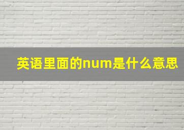 英语里面的num是什么意思