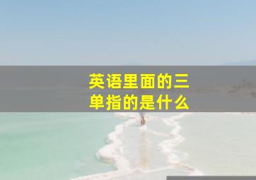 英语里面的三单指的是什么