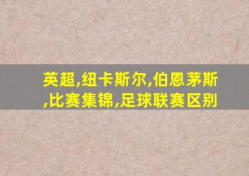 英超,纽卡斯尔,伯恩茅斯,比赛集锦,足球联赛区别