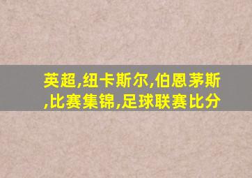 英超,纽卡斯尔,伯恩茅斯,比赛集锦,足球联赛比分