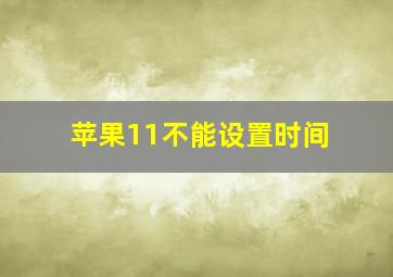 苹果11不能设置时间