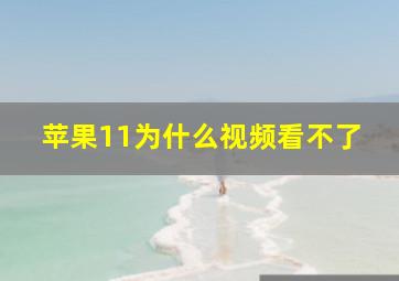 苹果11为什么视频看不了