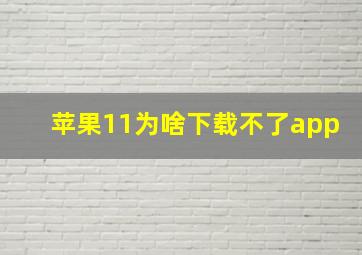 苹果11为啥下载不了app