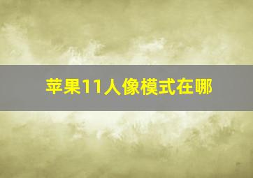 苹果11人像模式在哪